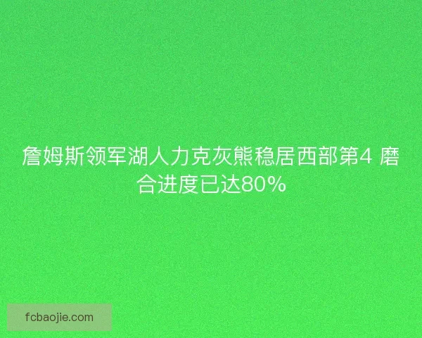 詹姆斯领军湖人力克灰熊稳居西部第4 磨合进度已达80%