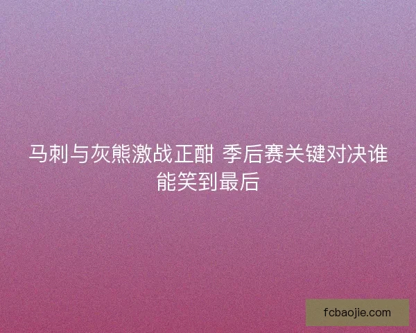 马刺与灰熊激战正酣 季后赛关键对决谁能笑到最后