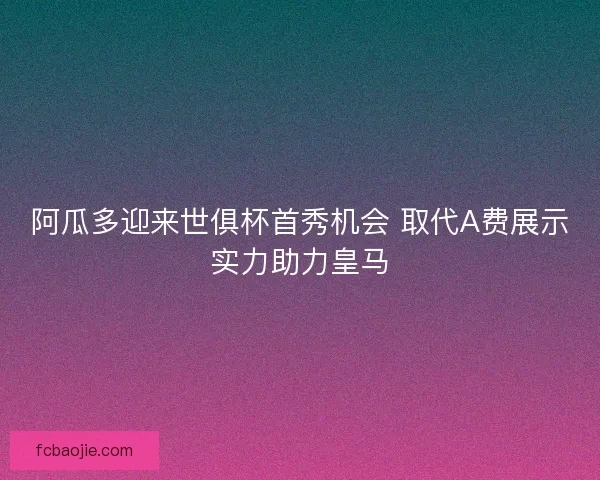 阿瓜多迎来世俱杯首秀机会 取代A费展示实力助力皇马