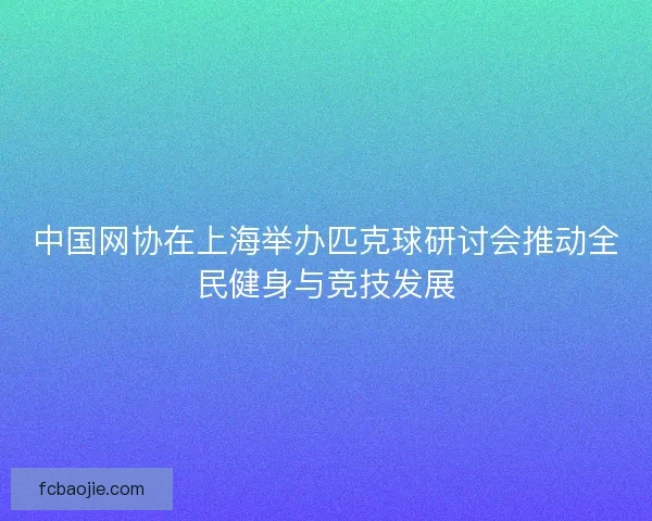 中国网协在上海举办匹克球研讨会推动全民健身与竞技发展