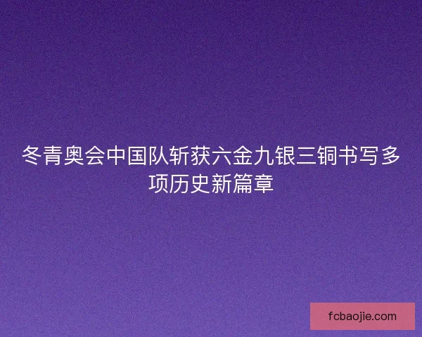冬青奥会中国队斩获六金九银三铜书写多项历史新篇章